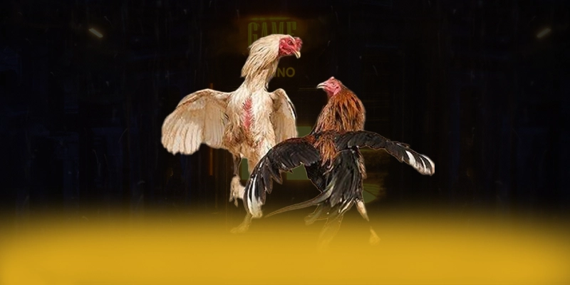 LC88 – Cổng cá cược hàng đầu Việt Nam, đang làm mưa làm gió trên thị trường. LC88 – Cổng cá cược hàng đầu Việt Nam, đang làm mưa làm gió trên thị trường.