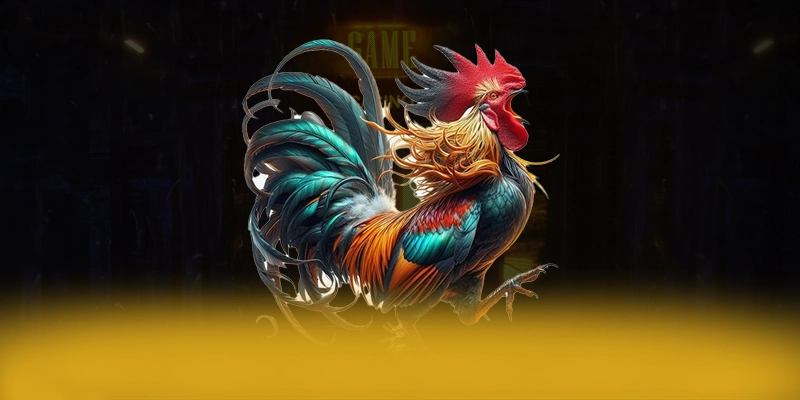 KUWIN - Tổng kết từ trải nghiệm thực tế.