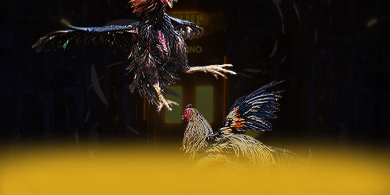 
Giới thiệu KUWIN - Cổng trò chơi được yêu thích nhất trên thị trường
