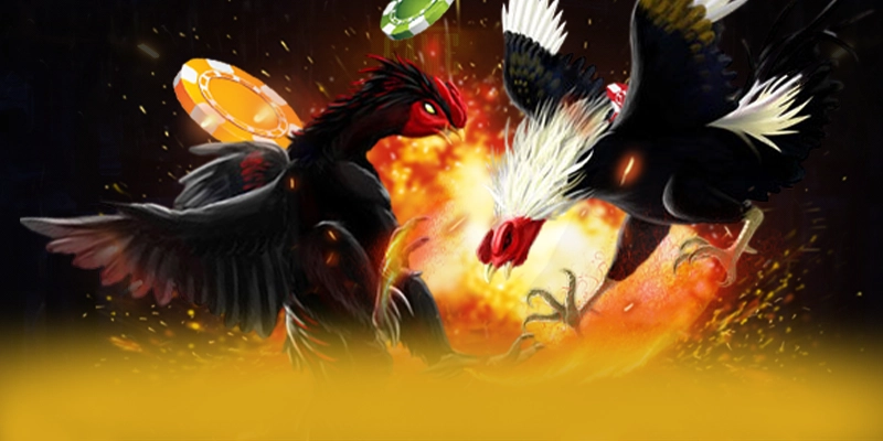 KUWIN – Cổng cá cược được yêu thích nhất, đang làm mưa làm gió trên thị trường.