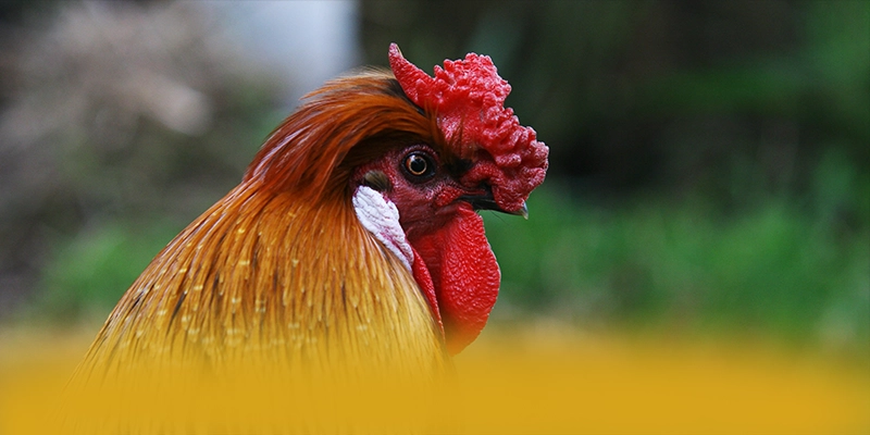 tài xỉu online - Cổng game với phần thưởng siêu lớn được người chơi tin tưởng – Khám phá tài xỉu online