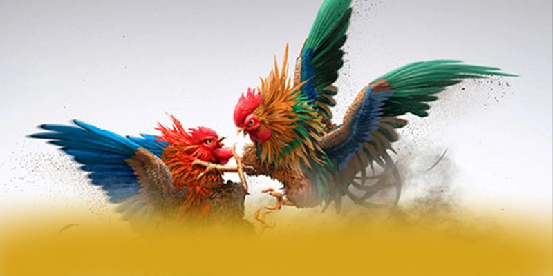 DAGA88 – Cổng game uy tín số 1, được giới cược thủ đánh giá cao. DAGA88 – Cổng game uy tín số 1, được giới cược thủ đánh giá cao.