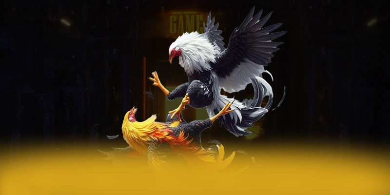 Khám phá FAFA191 - Cổng game đẳng cấp được cộng đồng đánh giá cao
Khám phá FAFA191 - Cổng game đẳng cấp được cộng đồng đánh giá cao