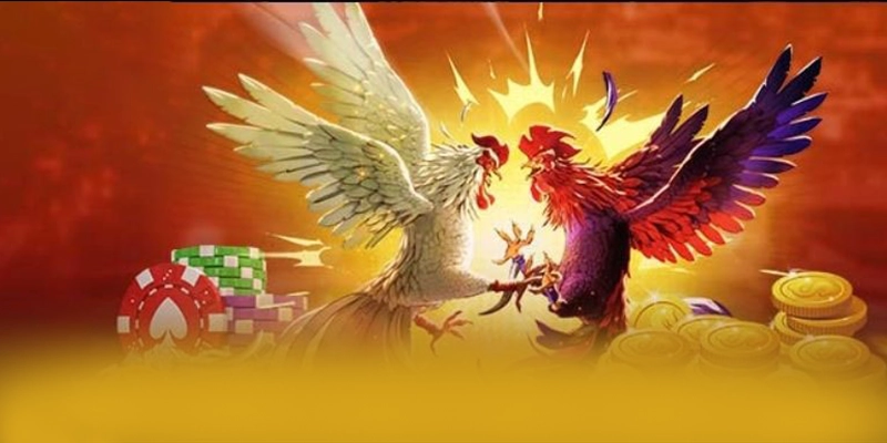 
Giới thiệu W88 - Nhà cái có thưởng lớn được giới cược thủ tin tưởng
