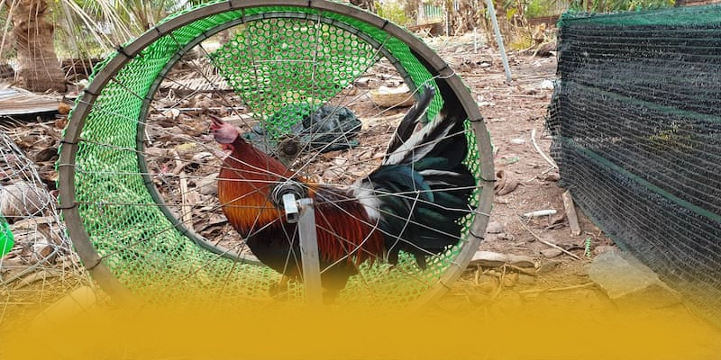 FAFA191 - Tổng quan về thương hiệu theo đánh giá từ người dùng. FAFA191 - Tổng quan về thương hiệu theo đánh giá từ người dùng.