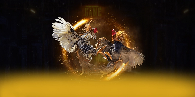F8BET - Nền tảng cá cược sở hữu danh mục sản phẩm toàn diện tại Việt Nam
