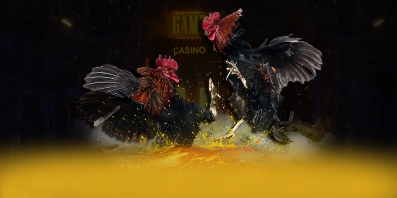 F8BET - Tổng kết — Nhà cái hàng đầu dành cho mọi người chơi